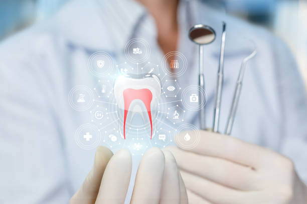 Best Sedation Dentistry  in Zephyrhills North, FL